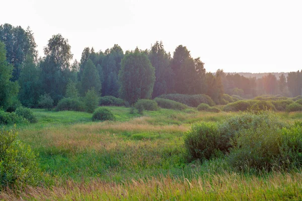 Vue Pittoresque Sur Paysage Magnifique Plein Jour — Photo