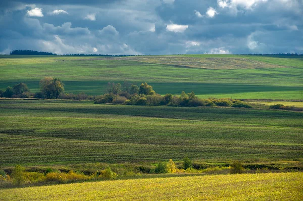 Malebný Pohled Podzimní Krajinu Denního Světla — Stock fotografie