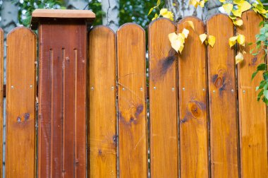 Ahşap yapı dokusuna.