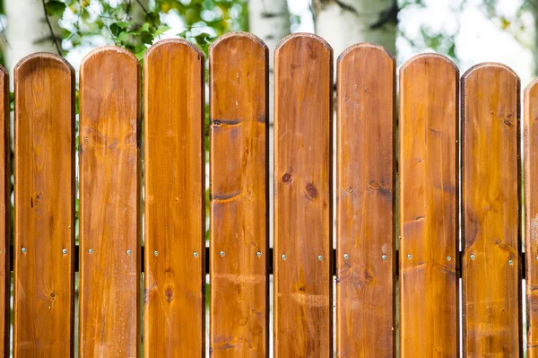 Texture of wood — Stock Photo, Image