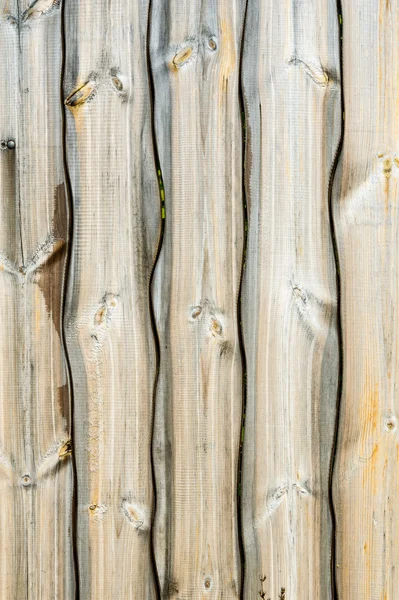 Textura Estructura Madera — Foto de Stock