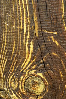 Eski ahşabın dokusu