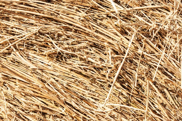 Straw Texture Straw Bales Texture Related — Stock Photo, Image