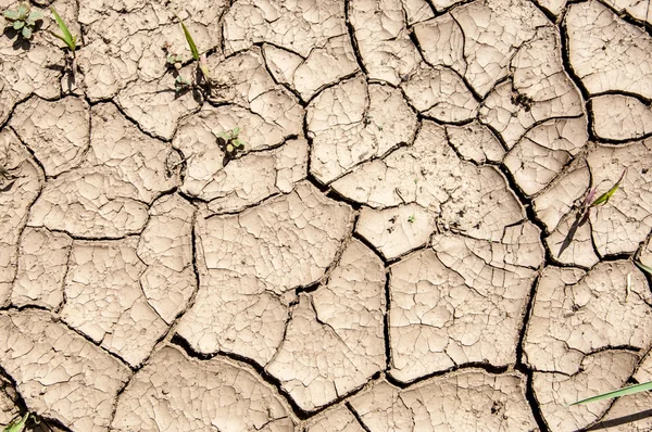 Textura da terra rachada — Fotografia de Stock