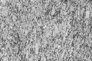 doku taş. içinde belgili tanımlık vahşi fotoğrafı