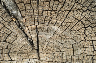 Doku eski ahşap yapı. 