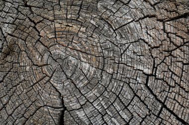 Doku eski ahşap yapı. 