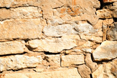 doku taş. içinde belgili tanımlık vahşi fotoğrafı