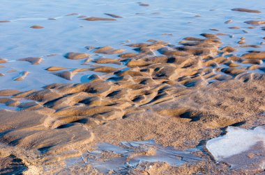 Kum doku. Vahşi doğada kum