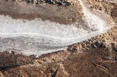 Kum doku. Vahşi doğada kum