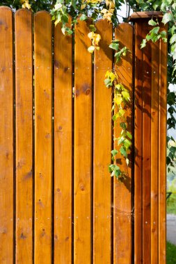 Ahşap yapı dokusuna.