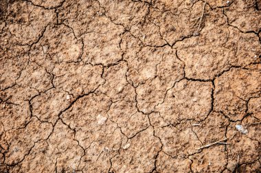 Çatlaklar zemin dokusuna