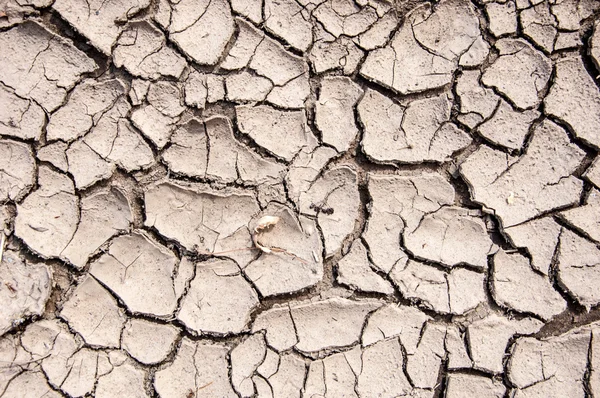 Cracked earth texture — Stock Photo, Image