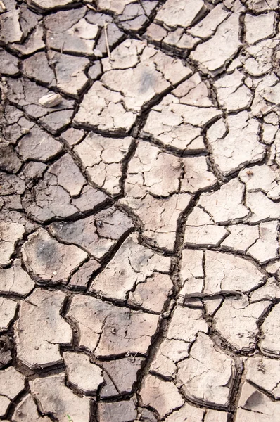 Cracked earth texture — Stock Photo, Image