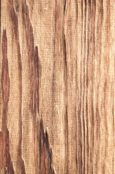Textura lemnului vechi — Fotografie, imagine de stoc