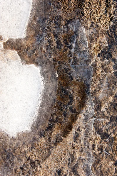 砂のテクスチャです 野生の自然を砂します — ストック写真