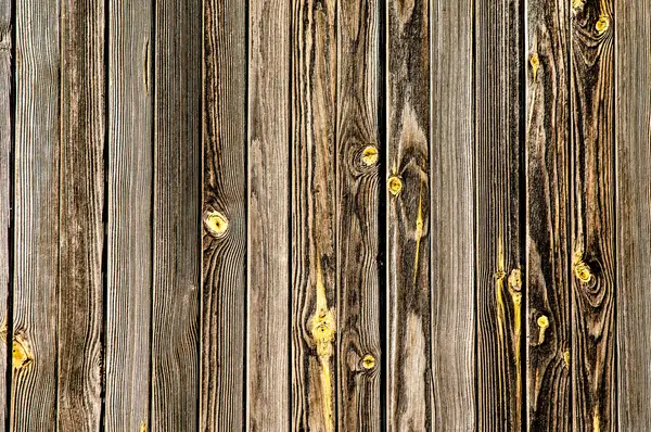 Régi fa textúrája — Stock Fotó