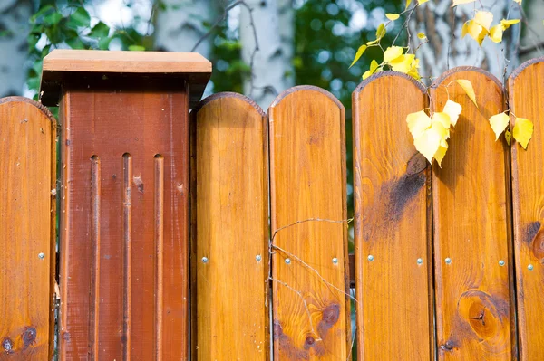 Texture del legno — Foto Stock