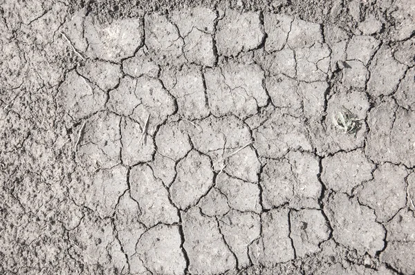 Texture of cracks in the ground — Stock Photo, Image