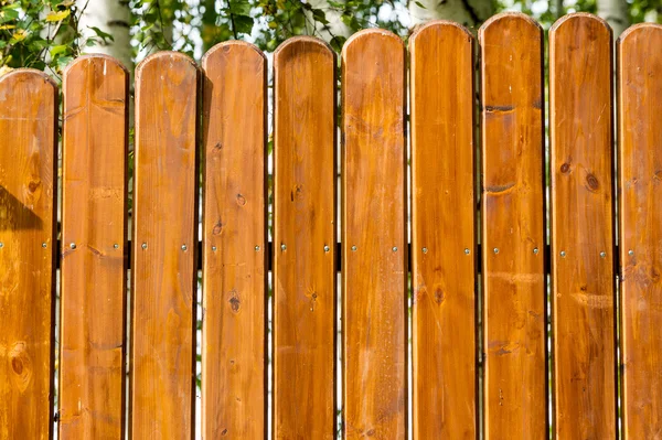 Textura de madera —  Fotos de Stock