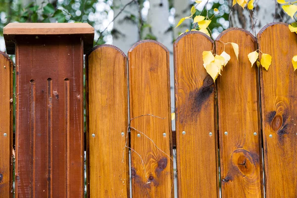 Struktur av trä — Stockfoto