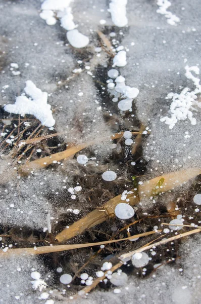 Ice tekstury — Zdjęcie stockowe