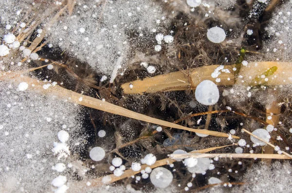 Ice tekstury — Zdjęcie stockowe