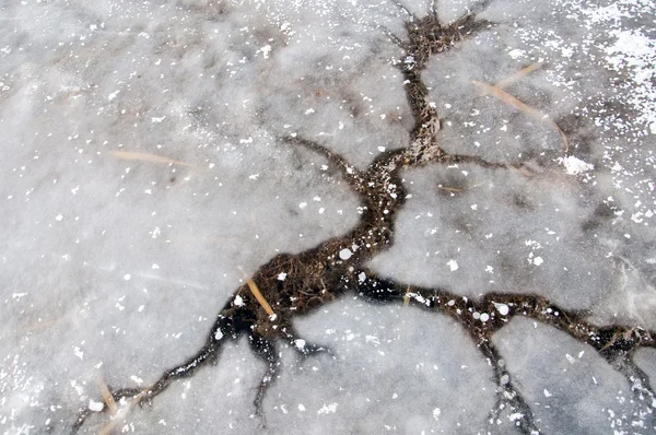 Texture Ice — Stock Photo, Image