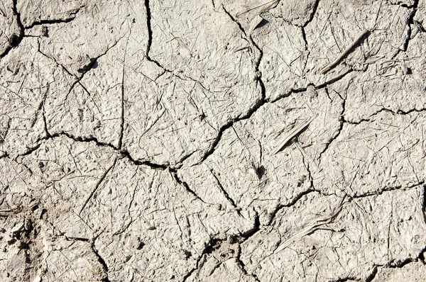 Texture of dry land — Stock Photo, Image