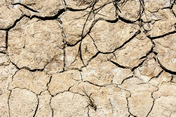 Deserto Deserto Desperdício Areias Florestas Saara Textura Terra Seca Fundo — Fotografia de Stock