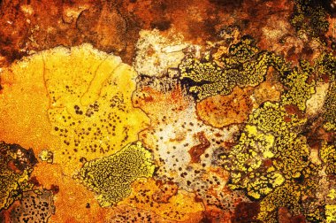 Liken taş dokusuna. Kaba granit taş arka plan doku Rock. Eski bir taş duvar.