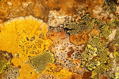 Liken taş dokusuna. Kaba granit taş arka plan doku Rock. Eski bir taş duvar.