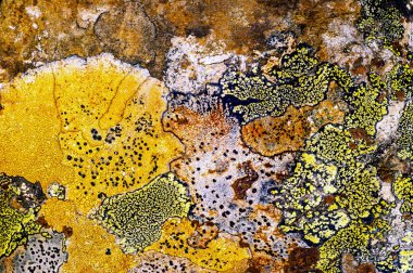 Liken taş dokusuna. Kaba granit taş arka plan doku Rock. Eski bir taş duvar.