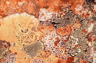 Liken taş dokusuna. Kaba granit taş arka plan doku Rock. Eski bir taş duvar.