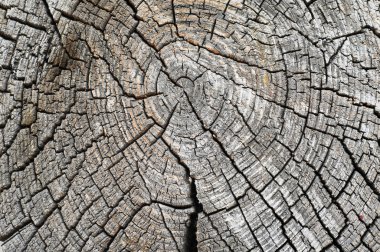 Doku eski ahşap yapı. 