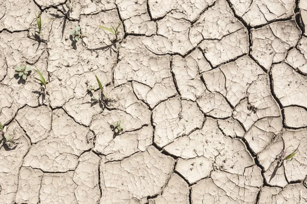 Textura Tierra Agrietada Sequía Prolongada — Foto de Stock