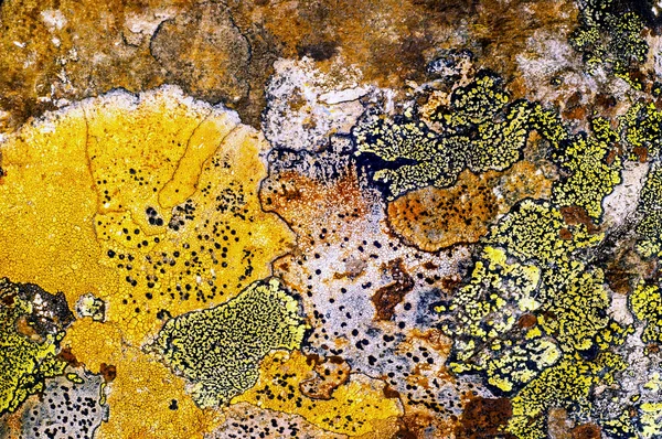 Liken taş dokusuna. Kaba granit taş arka plan doku Rock. Eski bir taş duvar.