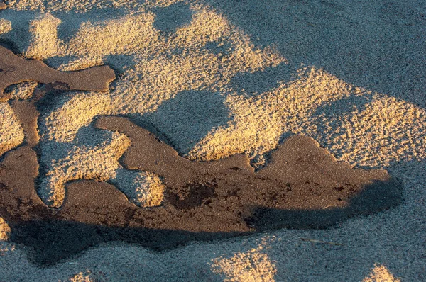 Die Textur Des Sandes Sand Der Wilden Natur — Stockfoto