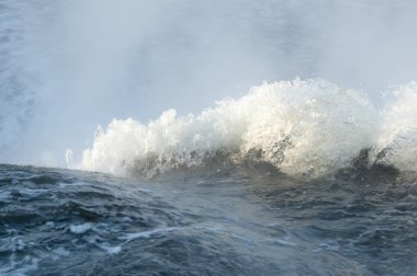 Su dalga doku. Doğada fotoğrafı 