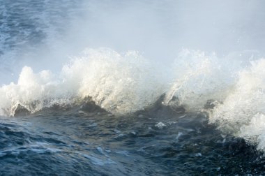 Su dalga doku. Doğada fotoğrafı 