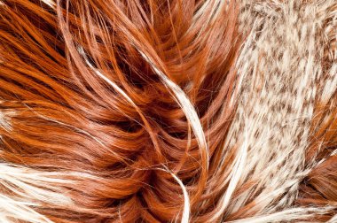 yak kürk. doku. Stüdyo fotoğrafı