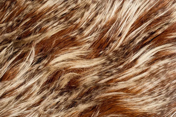Yak Fur Texture Photographed Studio — Stock Photo, Image
