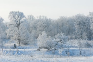 kış, kış-gelgit, kış zamanı, hibernate, o yılın en soğuk sezon