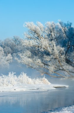 Kış, kış, kış, kış mevsimi, kış uykusuna yatar, yılın en soğuk mevsimi, Aralık 'tan Şubat' a kadar kuzey yarımkürede ve Haziran 'dan Ağustos' a kadar güney yarımkürede.