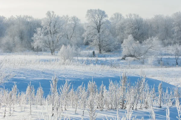 Winter Flut Winterzeit Winterschlaf Die Kälteste Jahreszeit Des Jahres — Stockfoto