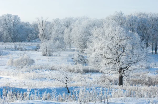 Winter, Winter-Flut, Winter-Zeit — Stockfoto