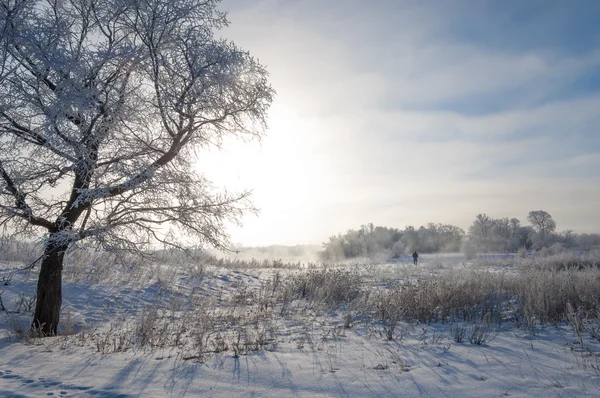 Vinter, vintertid, vintertid — Stockfoto