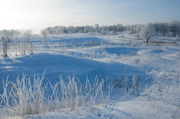 Hiver Marée Hiver Hibernation Saison Froide Année — Photo