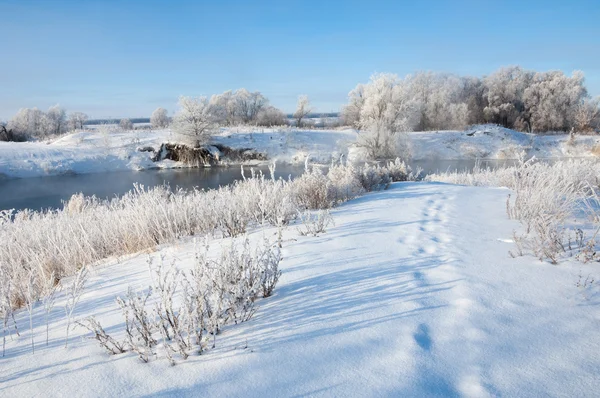 Winter Flut Winterzeit Winterschlaf Die Kälteste Jahreszeit Des Jahres — Stockfoto