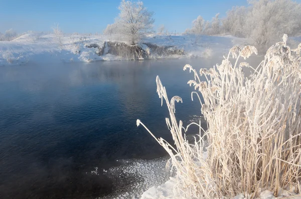 Inverno Marea Invernale Inverno Ibernazione Stagione Più Fredda Dell Anno — Foto Stock